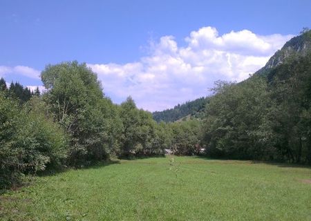 Teren Satic, comuna Rucar, judetul Arges 1510mp Teren Satic, comuna Rucar, judetul Arges 1510mp