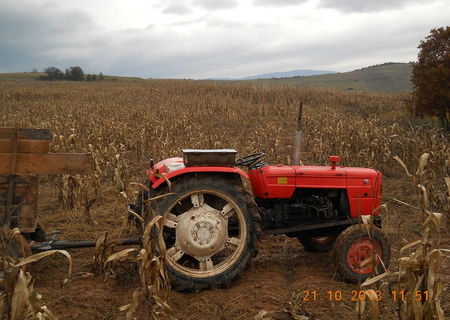 Tractor FIAT 441 ITALIA , 41 CP, 4 cilindrii