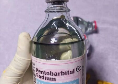 TRAMADOL, NEMBUTAL, IBOGA, OXYCODONE, OXYCOTIN aplicație: +971589943206
