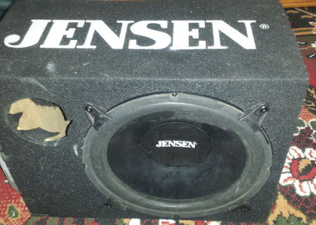 Tub de bass Jensen 400 W + amplificator ProLine 552
