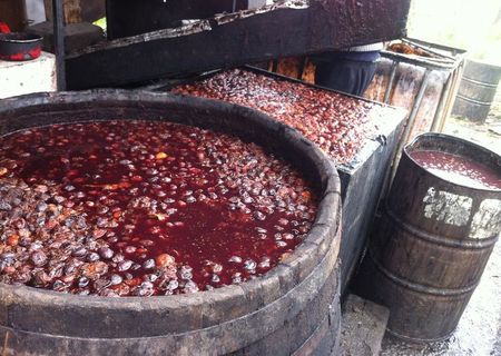 Tuica de Salaj