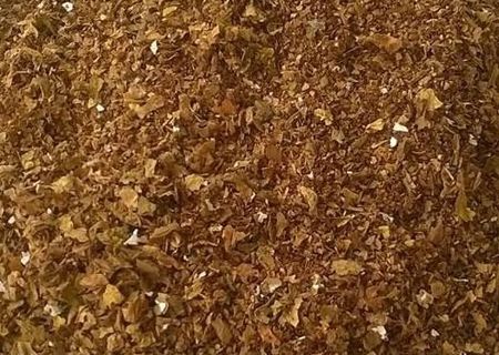 tutun cu o aroma buna la fumat