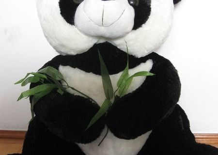 Urs Panda de plus Urs Panda de plus