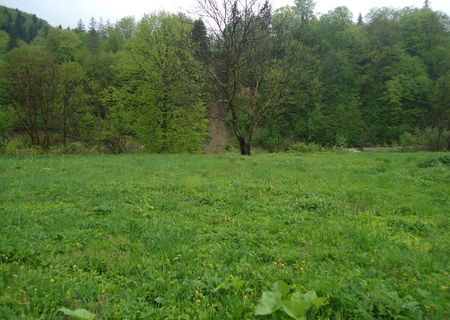 Vand 1319mp teren situat in Tarcau(zona vile-Cazaci) sau schimb cu apartament in Piatra Neamt