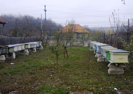 vand 23 stupi