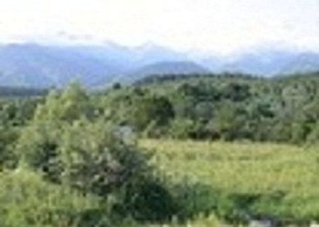 Vand 2300mp teren montan super pentru casa de vacanta,pensiune,pastravarie Vand 2300mp teren montan super pentru casa de vacanta,pensiune,pastravarie