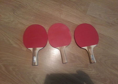 Vand 3 palete tenis de masa