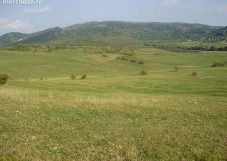 Vand 4774 mp teren arabil+livada de pruni in comuna POSESTI, PRAHOVA