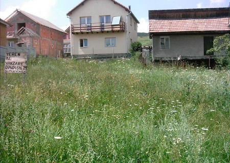 vand 516mp in viile dambu din cluj