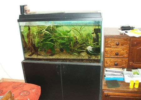 Vand acvariu Juvel Rio 240