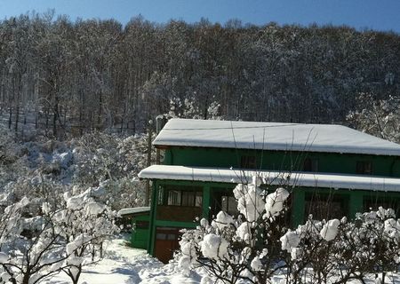 VAND ANSAMBLU PENSIUNE TURISTICA FORMATA DIN 2 CLADIRI + TEREN