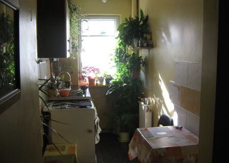 Vand apartament 2 camere