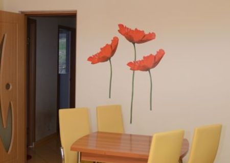 Vand apartament, 2 camere, 58. 4 mp, Buna Ziua, Cluj- Napoca