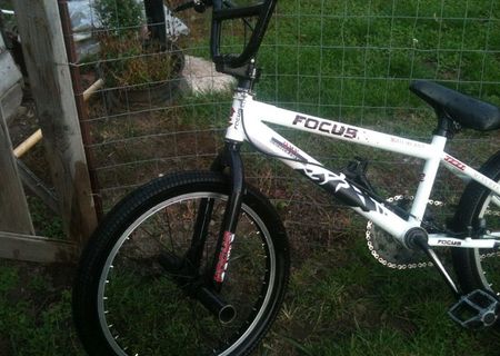 VAND bmx focus