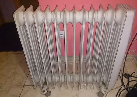 Vand calorifer electric 100 ron