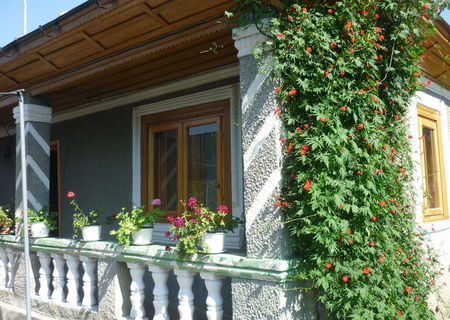 Vand casa 3 camere cu Anexe + Teren 1200m2, sat Petresti, Focsani