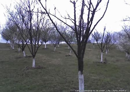 Vand casa,anexe si terenuri Luncsoara comuna Brosteni Judetul Mehedinti