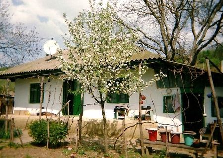 Vand Casa batraneasca la 50 km de Bacau