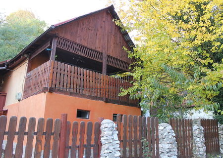 Vand Casa cu 2 camere Dognecea