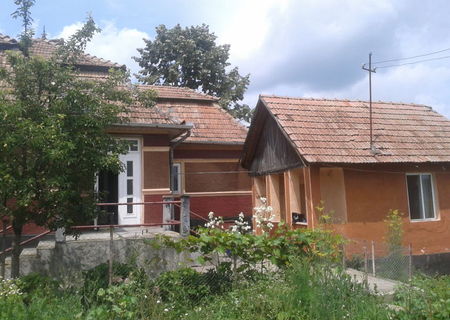 Vand casa cu gradina
