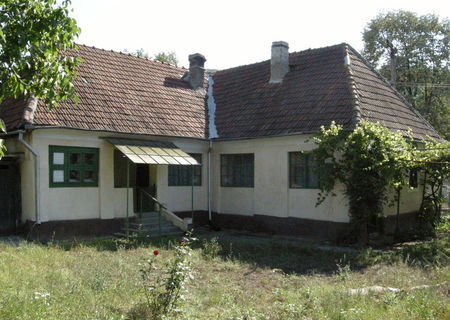 Vand casa cu gradina in Vascau