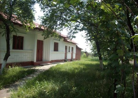Vand casa cu teren 1300 mp Comuna Ulmi, sat Draganeasca