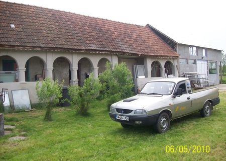 vand casa cu teren 6000mp la sinersig-timis