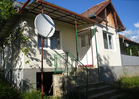 Vand casa de vacanta sat Fodora, Cluj
