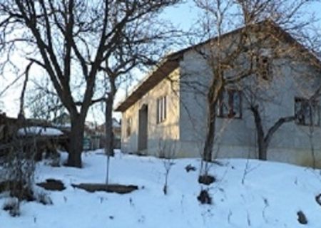 VAND CASA LA ROSU + 25 ari teren!!! VAND CASA LA ROSU + 25 ari teren!!!