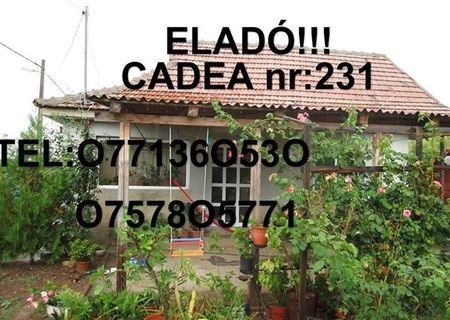 Vând casă la țară Cadea Vând casă la țară Cadea