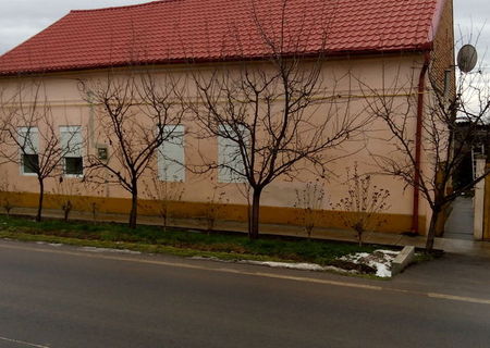 vand casa mare in Periam