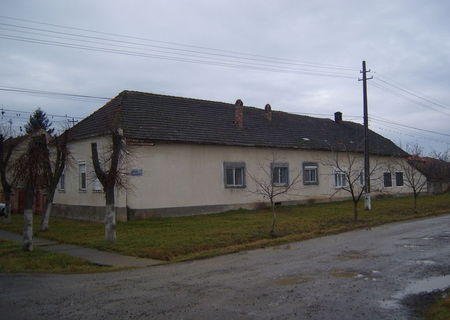 Vand casa mare in Sanandrei