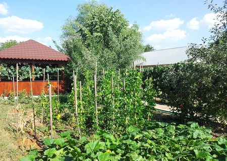 Vand casa Proprietate - casa Mircea Voda, Dambovita