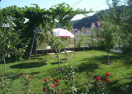 Vand casa si curte, Rasnov
