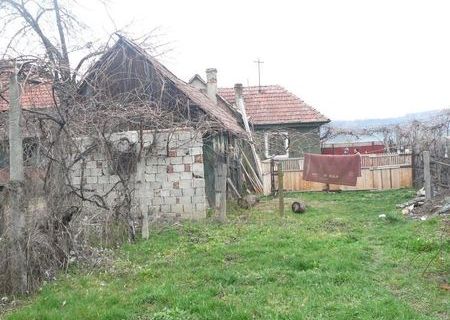 Vand casa si gradina in Vistea de Jos