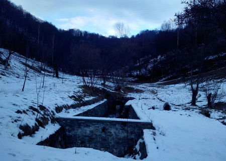 Vand casa si teren 20 ha. in zona de munte