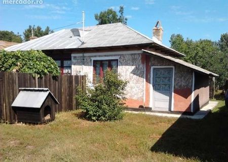 Vand Casa Si Teren Izvoru Vand Casa Si Teren Izvoru