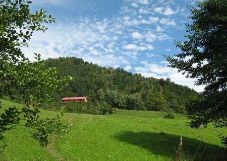 Vand casa si teren la munte Vand casa si teren la munte