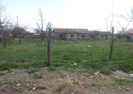 Vând casă si teren Valu lu Traian Vând casă si teren Valu lu Traian