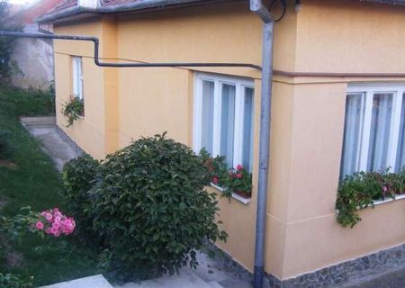 Vand casa Str Piersicului