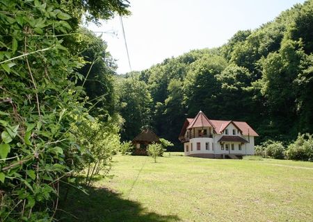 Vand casa vila in Sighisoara