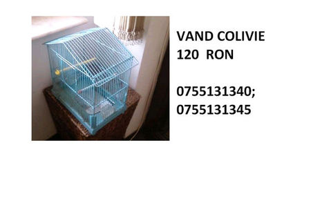 Vand colivie