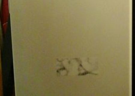 Vand combina frigorifica Arctic