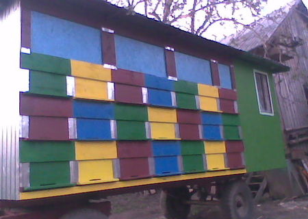 vand familli de albine
