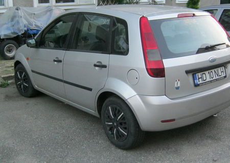 Vand Ford Fiesta