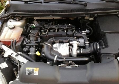 vand fors focus 2007