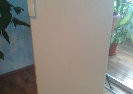 Vand frigider Arctic 240 litri