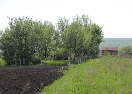 Vand gradina+ livada in Valea Finatelor, Cluj-Napoca