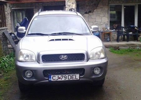 Vand Hyundai Santa Fe 2001