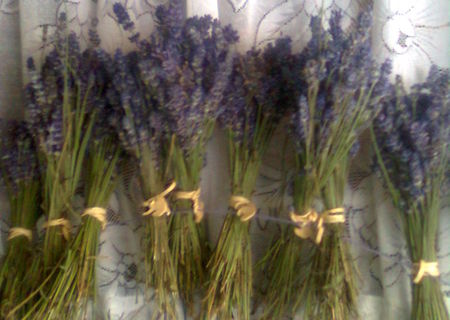 Vand lavanda